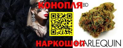 стаф Будённовск