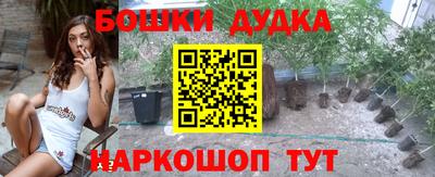 стаф Будённовск