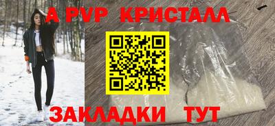 стаф Будённовск