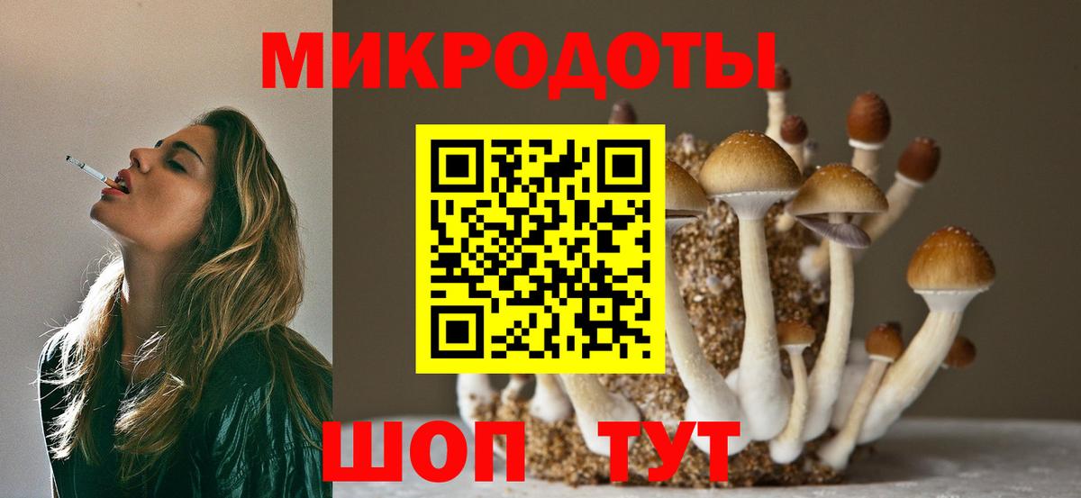 Псилоцибиновые грибы прущие грибы  Вход с VPN  Тара 